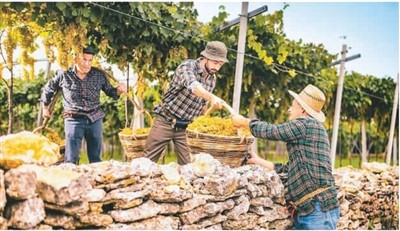 保護和推廣農(nóng)業(yè)遺產(chǎn)在哪些方面獲得成功？