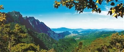 我國(guó)重點(diǎn)保護(hù)野生動(dòng)植物種群持續(xù)恢復(fù)
