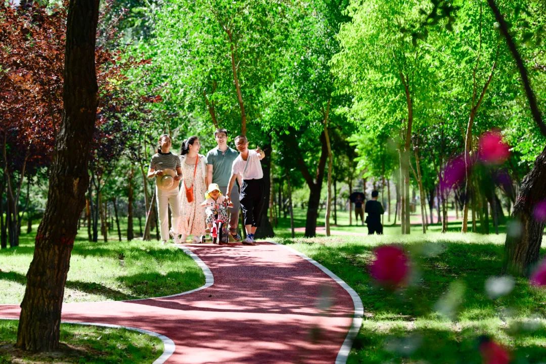 建“公園城市”，要新要美要科學