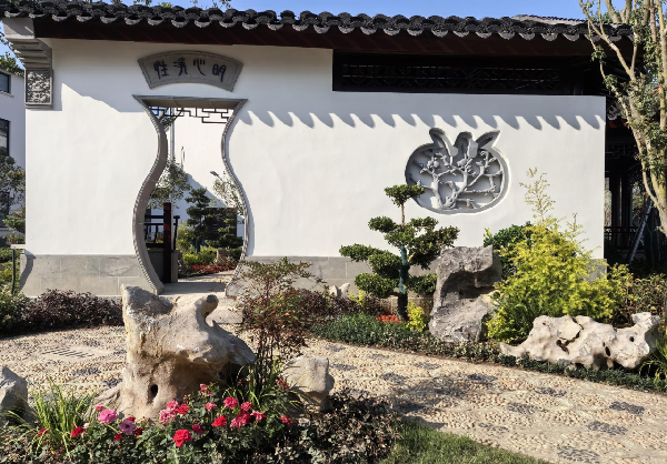 費(fèi)家浜：特色田園鄉(xiāng)村建設(shè)讓無垠星空映照廣闊鄉(xiāng)村