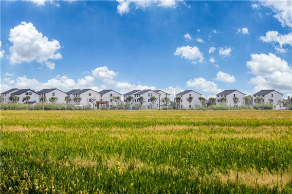 費(fèi)家浜：特色田園鄉(xiāng)村建設(shè)讓無垠星空映照廣闊鄉(xiāng)村