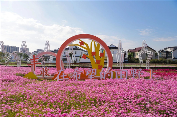 費(fèi)家浜：特色田園鄉(xiāng)村建設(shè)讓無垠星空映照廣闊鄉(xiāng)村