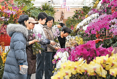 今年年宵花更注重傳統文化與現代元素的融合