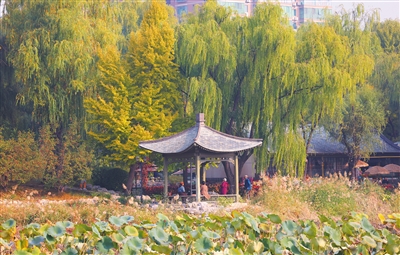 北京市推動花園城市建設(shè)，5個區(qū)開展試點工作