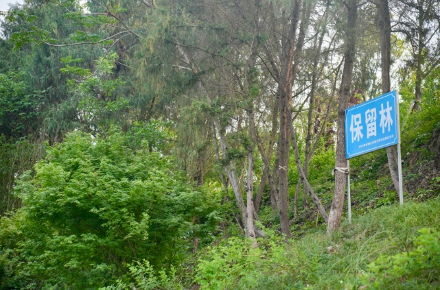成都世園會(huì)如何低碳？記者實(shí)地探訪