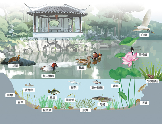 蘇州園林，何以展現生態意境？
