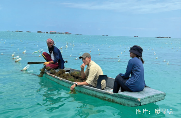應對海平面上升的循環(huán)經(jīng)濟戰(zhàn)略