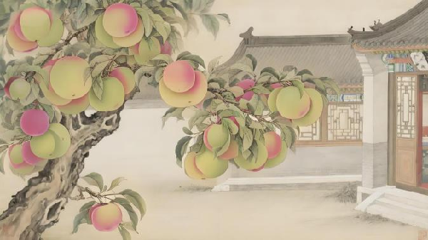 碩果飄香·豐涵海淀丨海淀李子:紫玉垂枝,酸甜馥郁