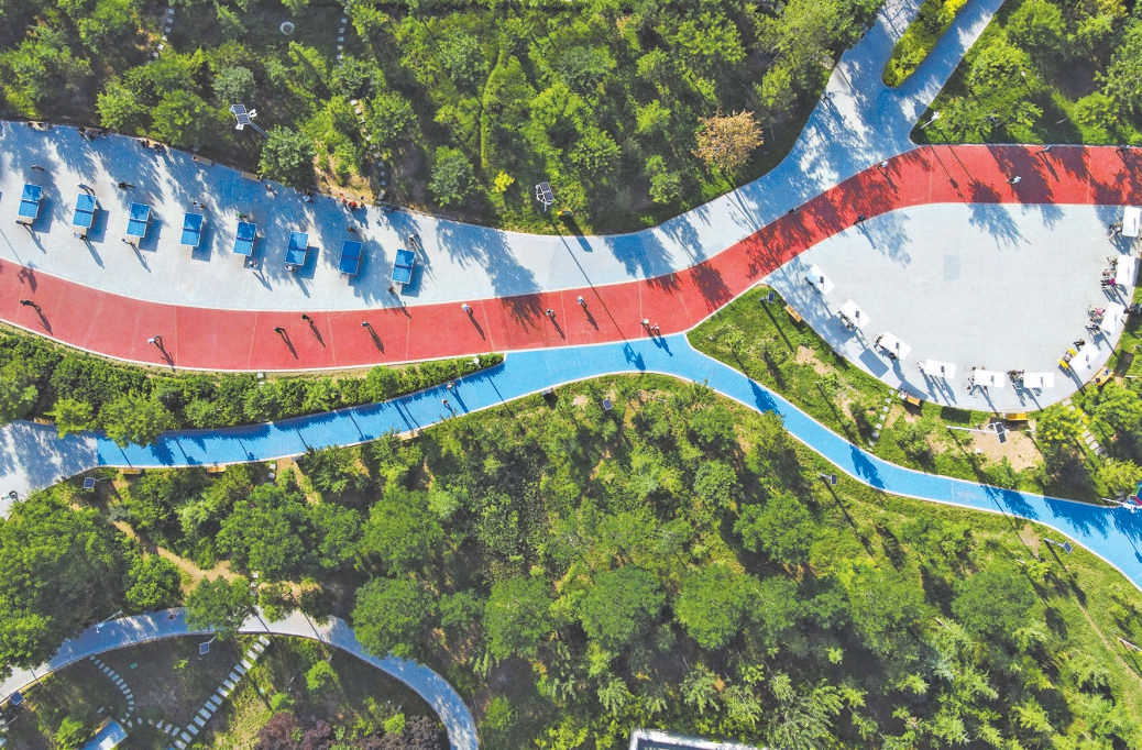 我國森林覆蓋率超25%