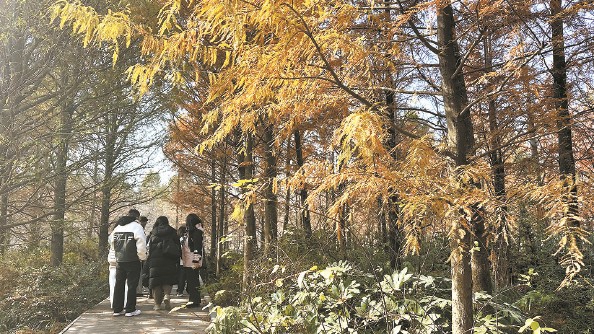 上海：“網紅公園”做對了什么？