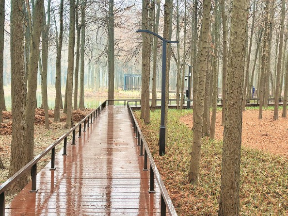 上海：“網紅公園”做對了什么？