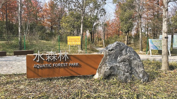 上海：“網紅公園”做對了什么？