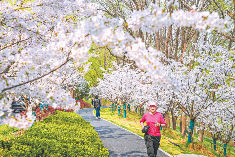 北京,一座看不盡的花園之城