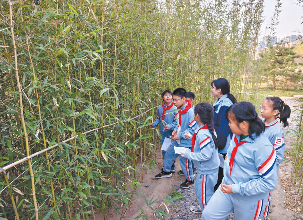 北京豐臺:20所中小學把課堂搬進公園
