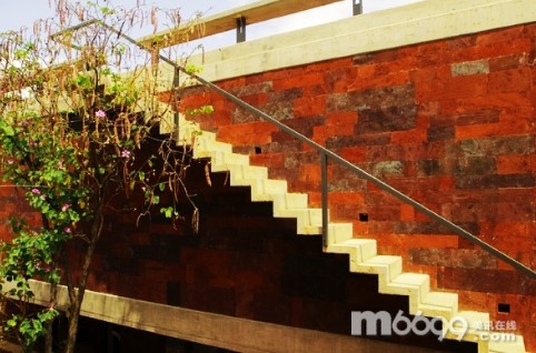 綠化 景觀 設計