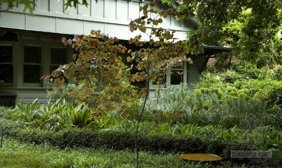 綠化 設(shè)計(jì) 景觀