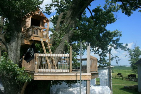 綠化 景觀 設計