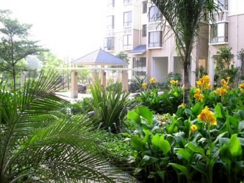 邱堅珍作品展示(二)：南寧“綠城翠堤灣”景觀