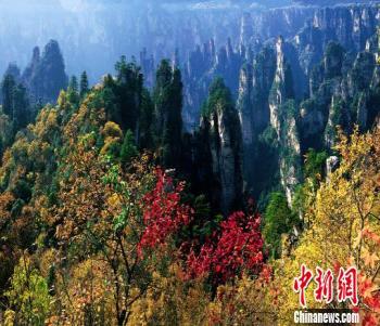 張家界國家森林公園30年實現(xiàn)旅游總收入347億