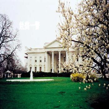 赴美一瞥：美國城市景觀印象(組圖)