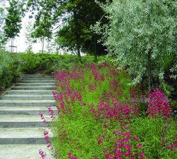 凱瑟琳·古斯塔夫森作品(九)：倫敦水晶公園