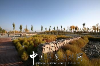 章俊華作品：新疆巴州和碩濱河公園（一期）