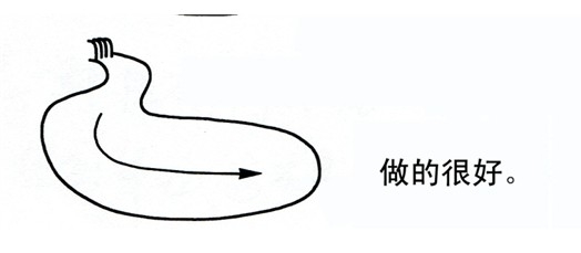 瀑布在溪流和水池的設(shè)置