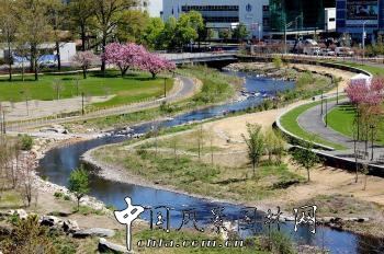 美國斯坦福mill濱水公園(組圖)