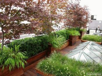 美國紐約屋頂花園設計