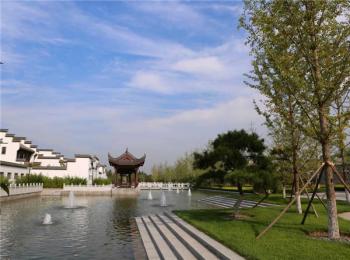 精品園林獎(jiǎng)大獎(jiǎng)(三)：鷹山北部區(qū)域綠化景觀工程