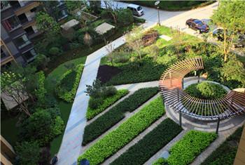 精品園林獎金獎：新華國際金融廣場景觀工程