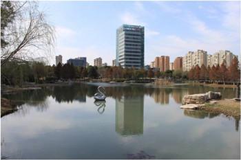 精品園林獎(jiǎng)金獎(jiǎng)：中新生態(tài)大廈景觀綠化工程