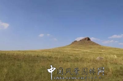 風(fēng)沙中的堅強(qiáng)小草——蒙草生態(tài)修復(fù)顯成效