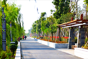 民宿升級為田園綜合體會有轉機嗎?