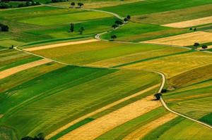 基于四大趨勢的國土空間規劃思路