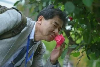 李樹(shù)華:園藝療法保持復(fù)工身心健康