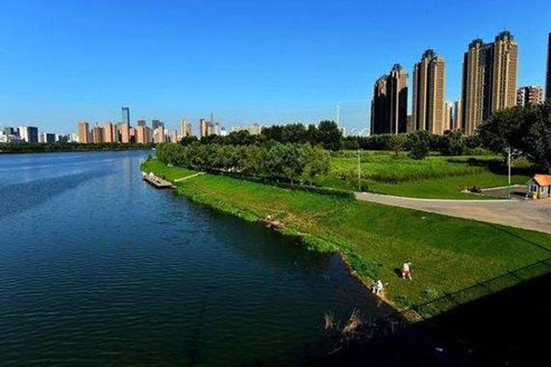 為全球生態(tài)治理貢獻(xiàn)中國(guó)力量