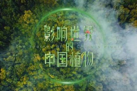 環(huán)境文化產(chǎn)品,再豐富些