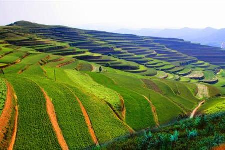 大力推進新時代生態文明制度建設