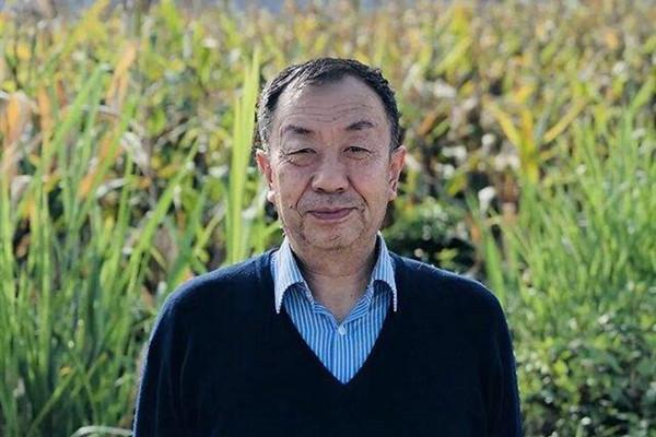 黨國英：城鄉居住形態對公共安全影響