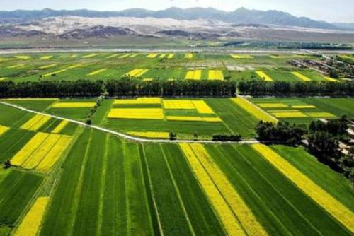 鄉村振興促進法(草案)征求意見