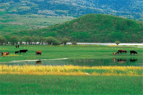 草原生態治理保護的原則和對策