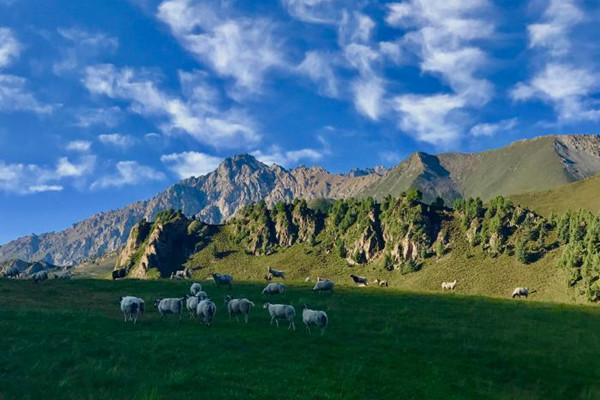 生態環境部：杜絕“大躍進式”造景