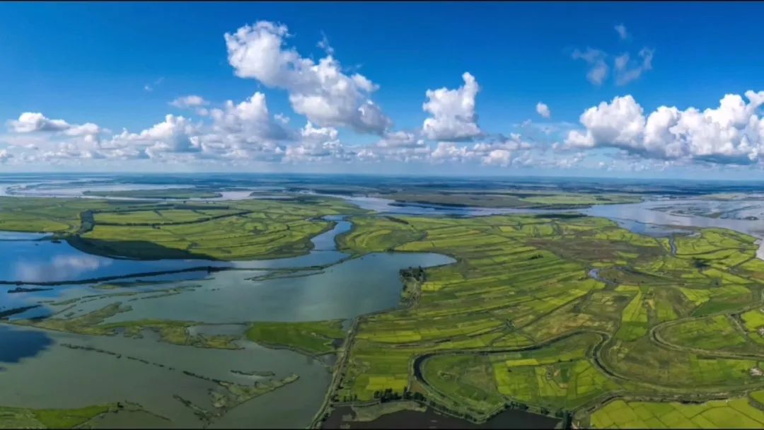 2023年兩會上風景園林相關的建議