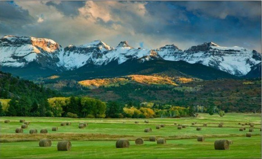 徐堅：通過設計讓云南山村煥發新活力