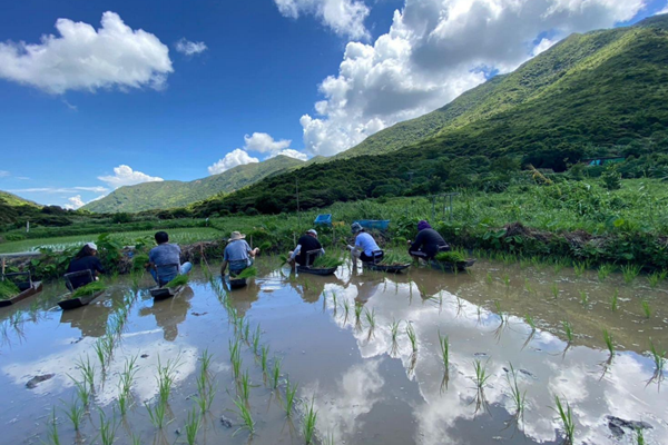 汪怡嘉：香港大嶼山有一個二澳農場