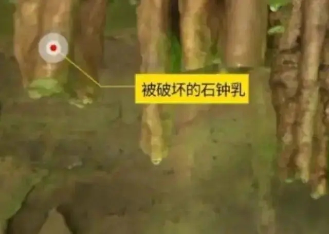 黃果樹(shù)景區(qū)上萬(wàn)年景觀被男孩用磚頭敲下帶走