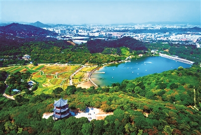 廣東出臺古樹名木保護(hù)管理指導(dǎo)意見