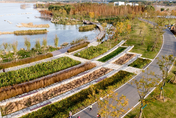 十年回看，“海綿城市”建得怎么樣了？