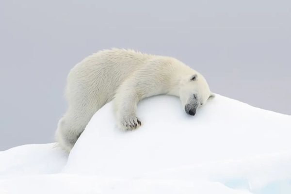 12萬年最熱，設計師們都做了什么？